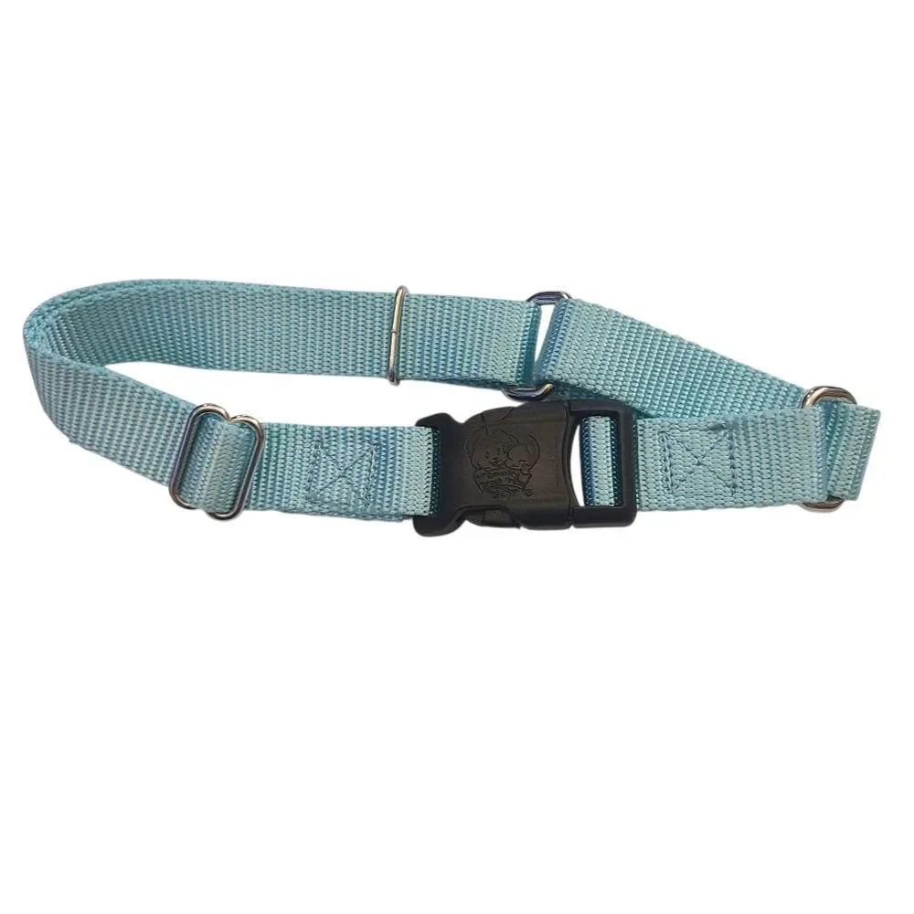 Country Brook Petz Dog Collar Size Large Soft Teal‎ 20